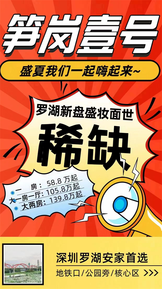 罗湖笋岗小产权房《笋岗壹号》稀缺原始户型，总价58.8万起(图2)