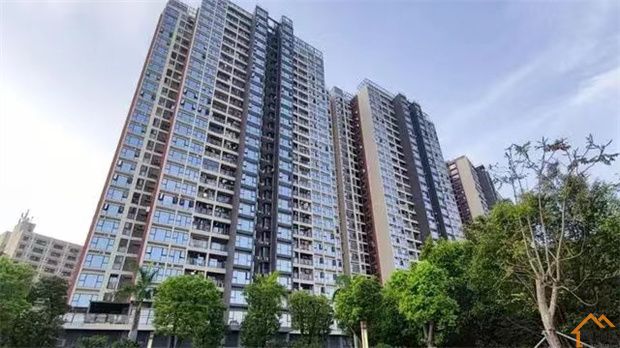深圳这么多村委统建楼是怎么来的？你知道吗？(图1)