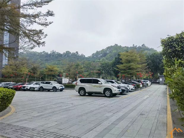 深圳布吉村委统建楼,两栋花园小区,稀缺毛坯原始户型(图3) 深圳布吉村委统建楼,两栋花园小区,稀缺毛坯原始户型(图3)