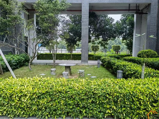 深圳布吉村委统建楼,两栋花园小区,稀缺毛坯原始户型(图8) 深圳布吉村委统建楼,两栋花园小区,稀缺毛坯原始户型(图8)