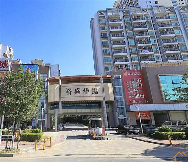 深圳沙井村委统建楼《裕盛华庭》12栋花园小区简介(图2)