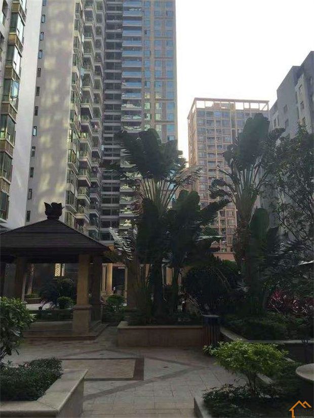 深圳沙井村委统建楼《裕盛华庭》12栋花园小区简介(图7)