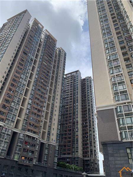 沙井村委统建楼《名豪丽城》12栋花园社区(图3)