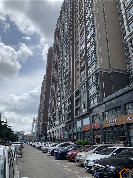 沙井村委统建楼《名豪丽城》12栋花园社区(图4)