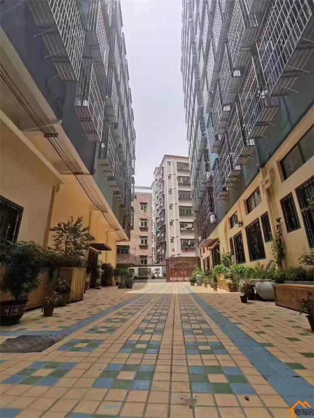 盘点深圳2024性价比小产权房推荐，看看有没适合您的(图2)