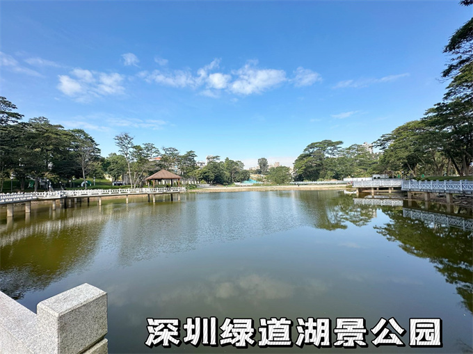 大浪小产权房新盘《大浪天玺》两房总价39.8万，可落户(图12)