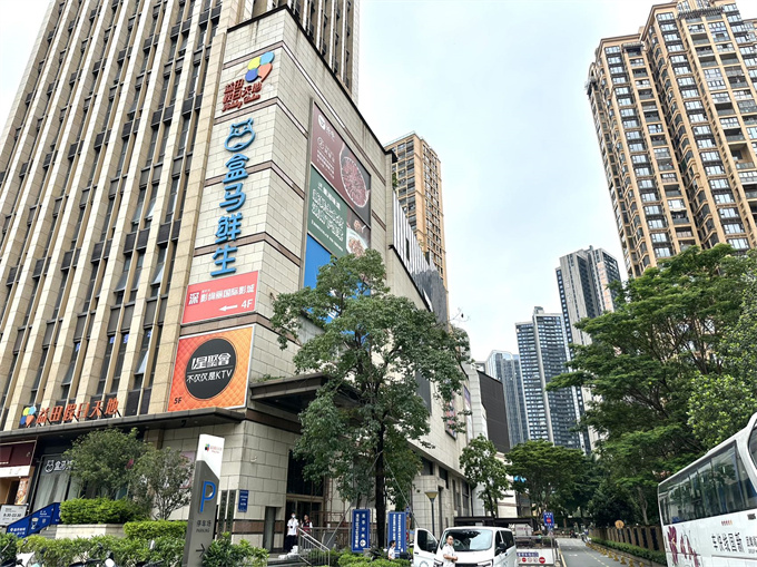 龙华共和新村小产权房《中心天玺》两房总价48.8万起(图3)