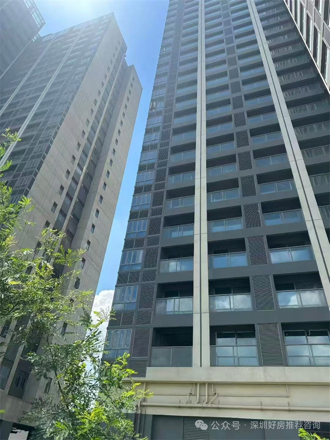 光明千户小区统建楼【麒麟瑞府】9800/平起,精装交付,分期10年(图3) 光明千户小区统建楼【麒麟瑞府】9800/平起,精装交付,分期10年(图3)