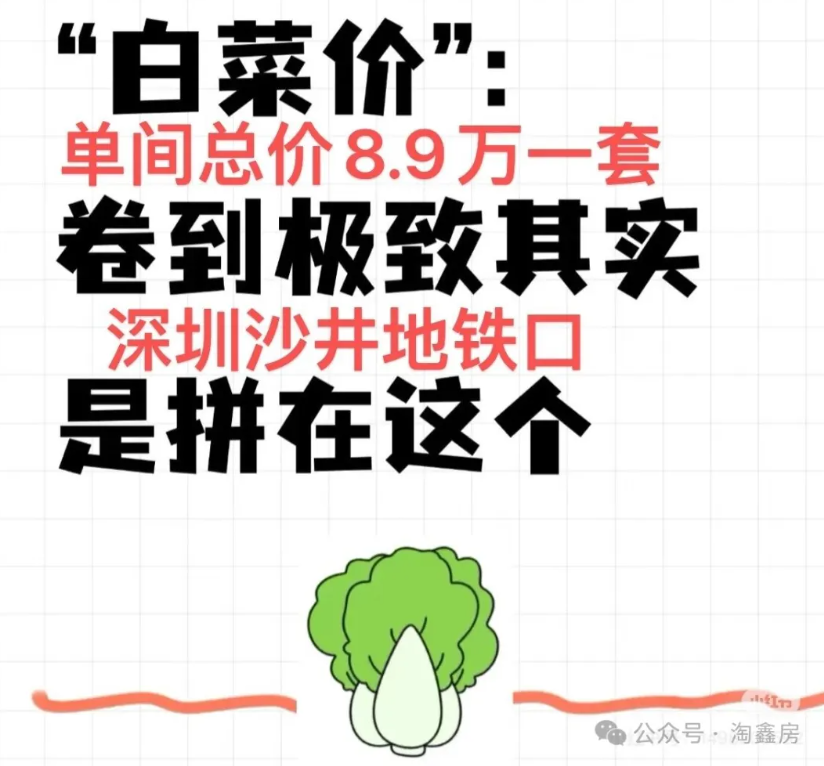 深圳最便宜小产权房《大兴家园》总价8.9万/套(图1)