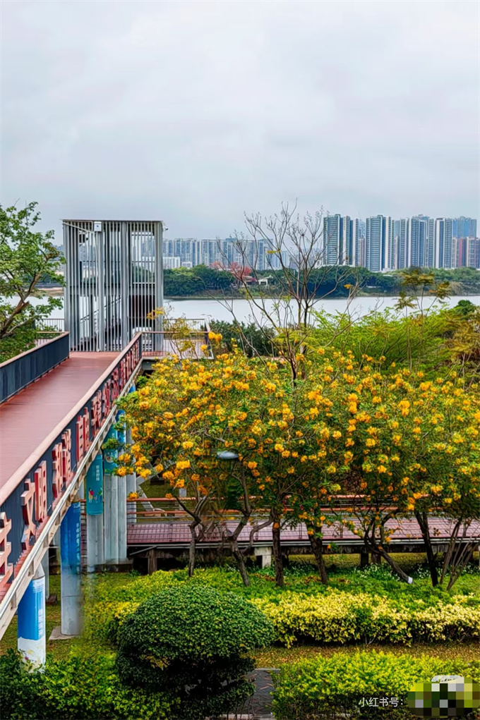 福永村委统建楼《凤城花园》22栋小区,单价仅8800元/㎡、可落户(图6) 福永村委统建楼《凤城花园》22栋小区,单价仅8800元/㎡、可落户(图6)