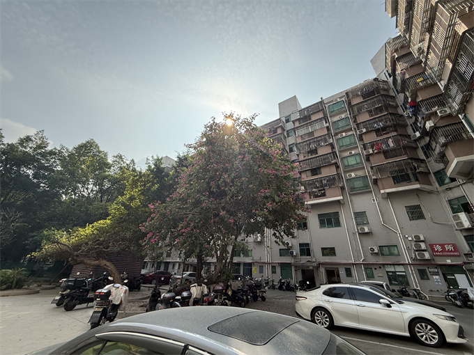 沙井19栋统建楼小区《鹏程花园》三房总价39.8万,可落户(图2) 沙井19栋统建楼小区《鹏程花园》三房总价39.8万,可落户(图2)