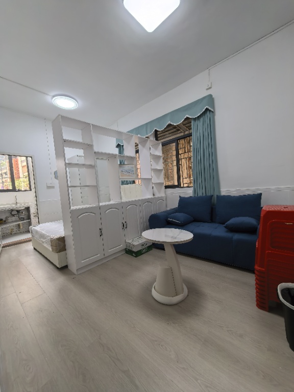 性价比拉满！罗湖草埔小产权房《青柠苑》总价30.8万/套(图6)