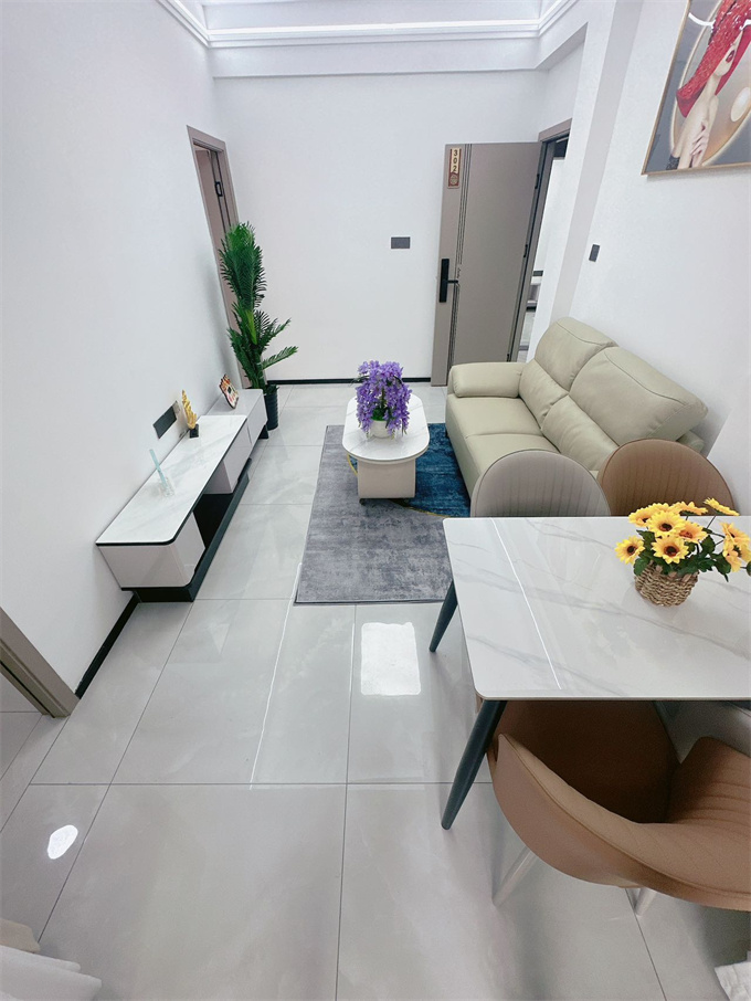 大浪元芬地铁口小产权房《盛景华庭》两房总价45.8万，可落户(图2)