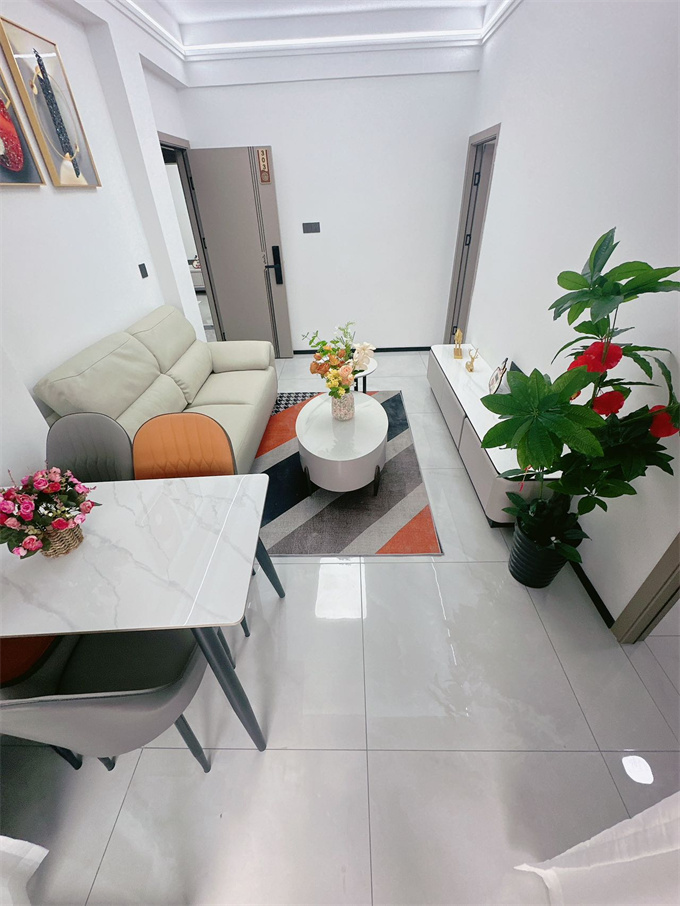 大浪元芬地铁口小产权房《盛景华庭》两房总价45.8万，可落户(图9)