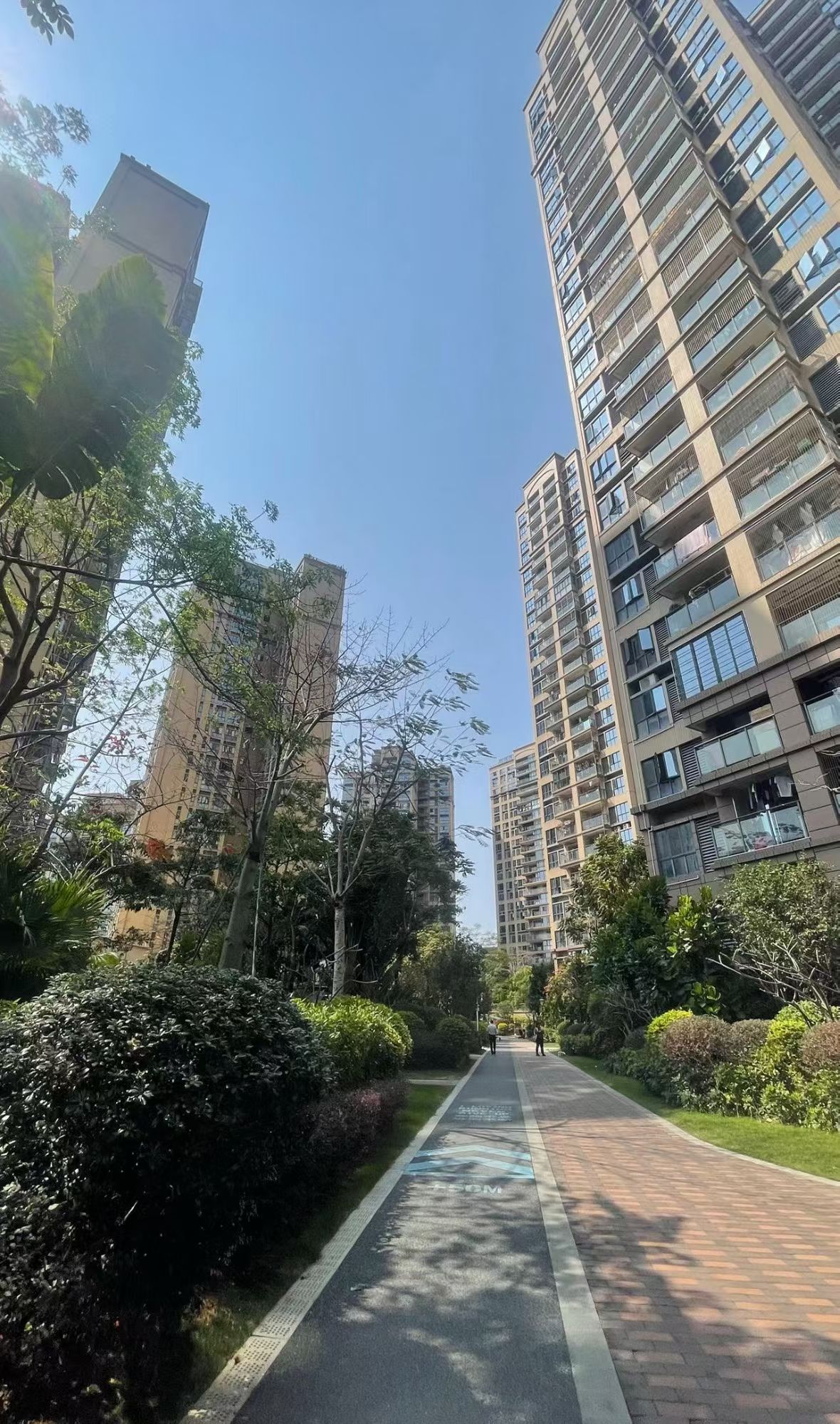 西乡最靓村委统建楼《畔山美地嘉园》两房总价14X万，可落户(图2)