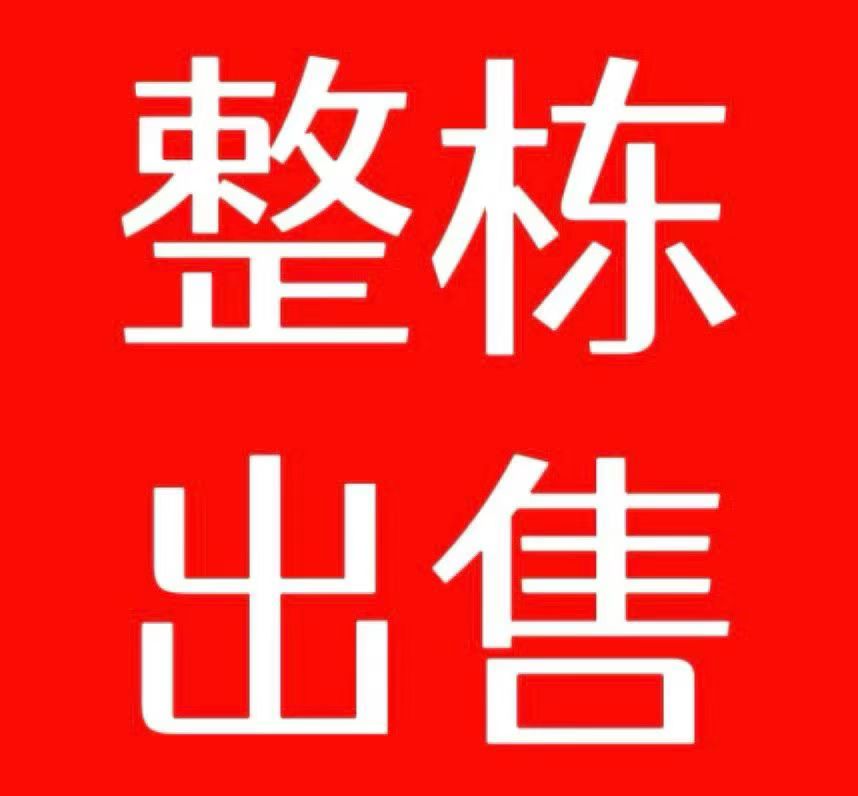 深圳龙华整栋农民房最新出售信息(图1)