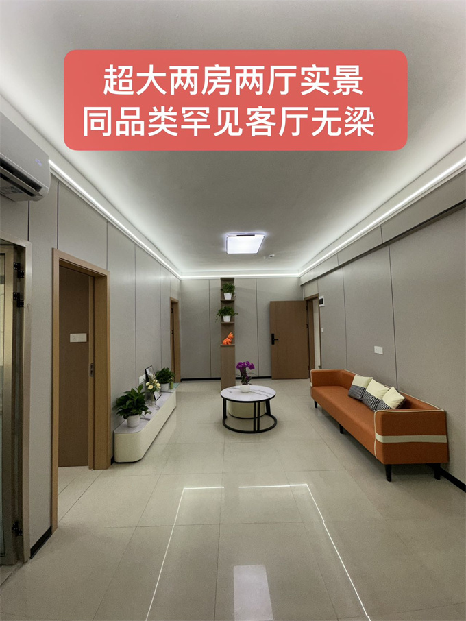 沙井小产权房《万丰小时代》一房总价22.8万/两房53.8万，精装交付(图4)