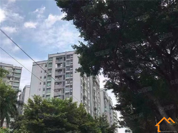 龙华4号线地铁口村委统建楼《田背花园》4栋花园小区(图2)