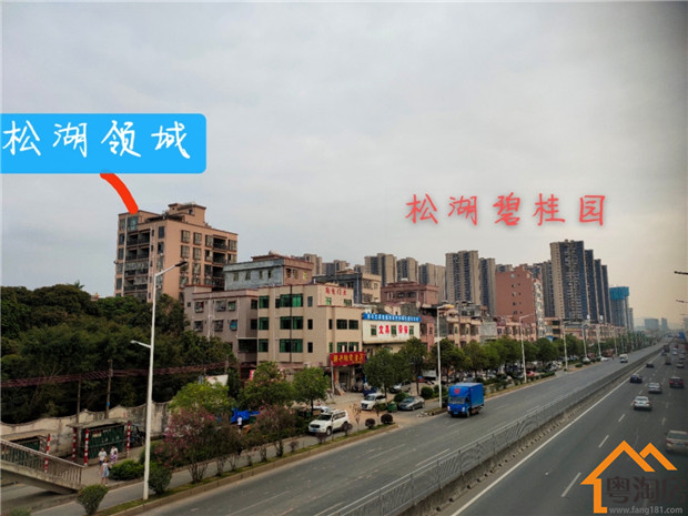 大岭山新塘小产权房新楼盘，3980元/平米起，紧邻松山湖(图5)