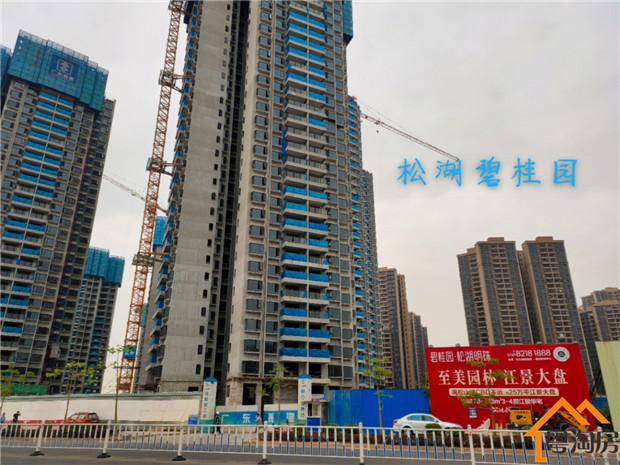 大岭山新塘小产权房新楼盘，3980元/平米起，紧邻松山湖(图2)