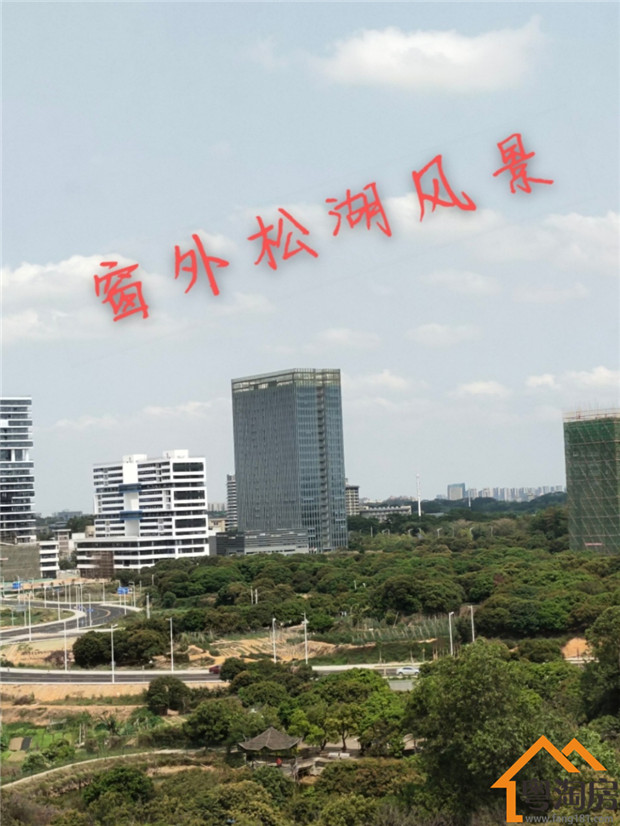 大岭山新塘小产权房新楼盘，3980元/平米起，紧邻松山湖(图3)