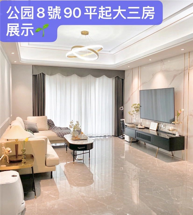 东莞1号线地铁口新盘，大朗杨涌小产权房《公园8号》荔香湿地公园旁(图8)