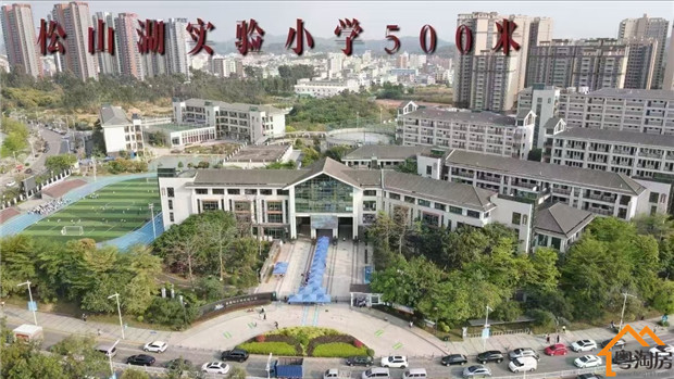 松山湖欧洲小镇旁，大朗犀牛陂统建楼《溪村花园》6栋花园小区(图3)