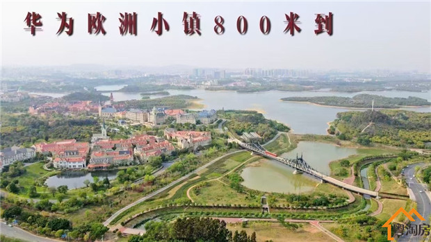 松山湖欧洲小镇旁，大朗犀牛陂统建楼《溪村花园》6栋花园小区(图4)