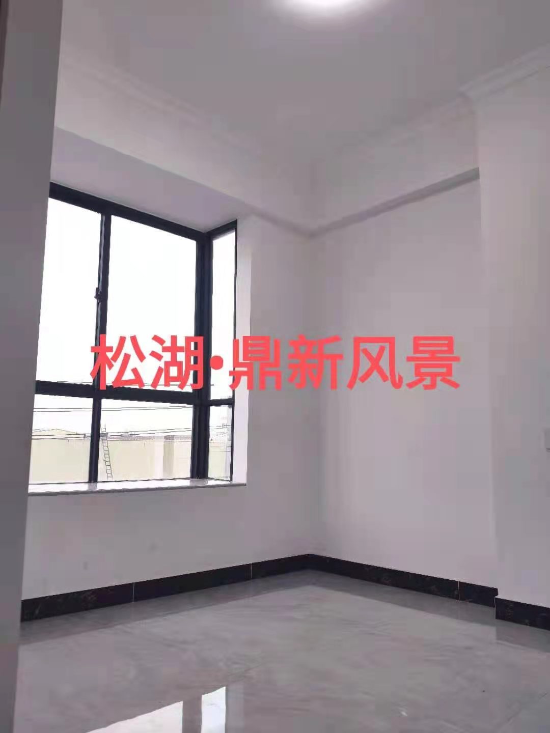 东坑凤大村小产权房《鼎新风景》3880元/㎡起，中心位置(图3)