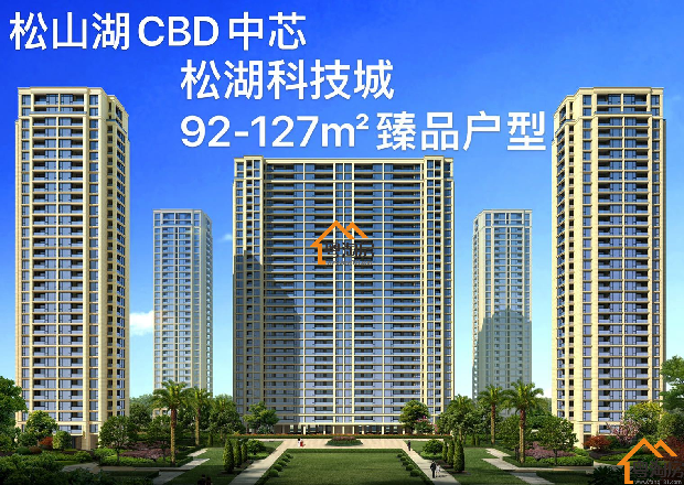 松山湖CBD核心,大朗村委统建楼【松湖科技城】5栋花园小区(图2)