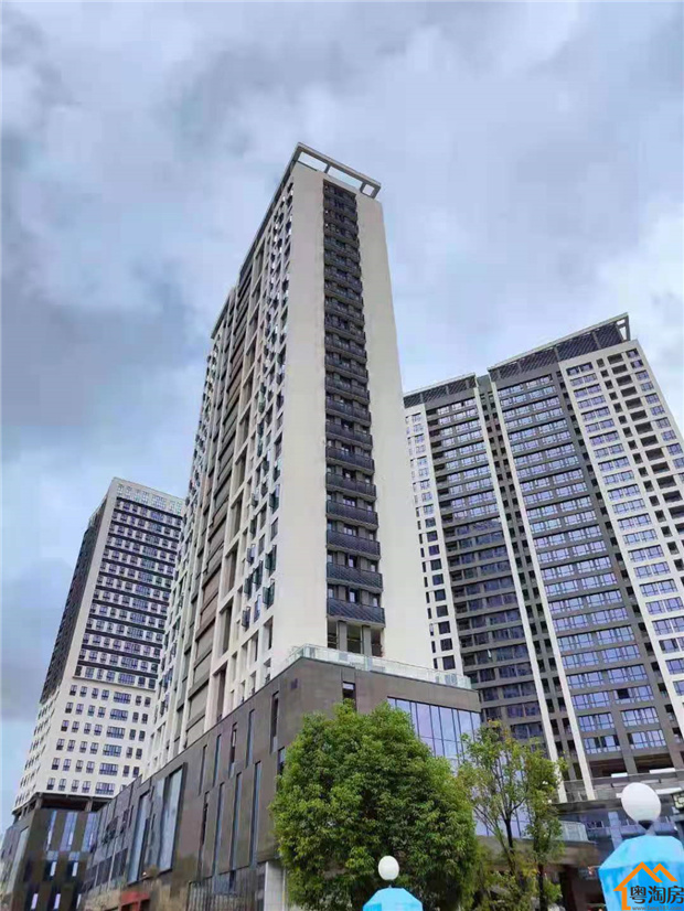 布吉独立红本房新楼盘【李朗城市广场】下李朗地铁口旁,3栋花园小区(图2)