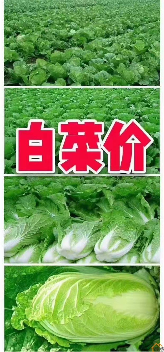 大岭山太公岭小产权房《壹号公馆》单价1999元一平起,5年可回购(图3)