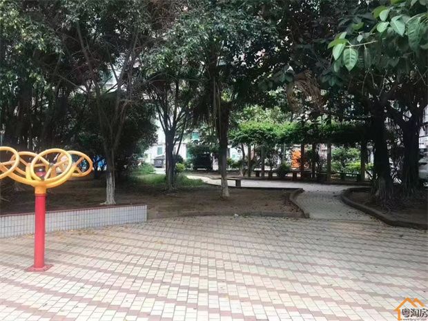 宝安沙井统建楼《新城芳花园》19栋规模,首付30万起(图3)