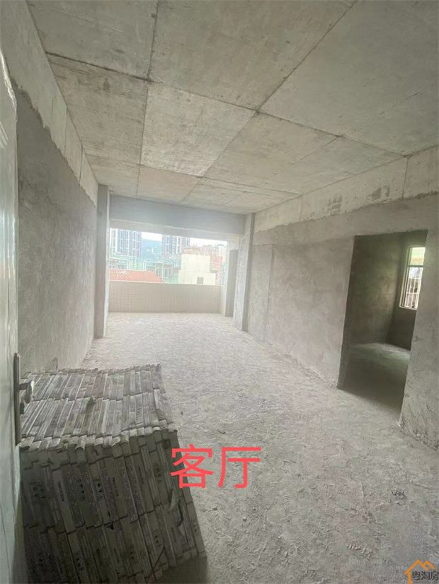 凤岗官井头小产权房《龙平公馆》开盘特价三房58.8w/套(图3)