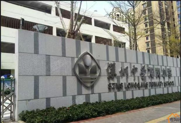 龙岗爱联地铁口小产权房《星河名居》首付20万起买精装修地铁口物业(图9)