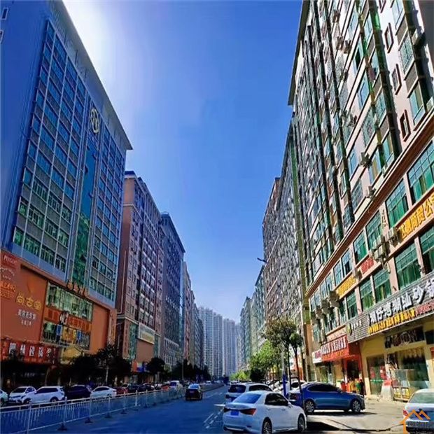 凤岗小产权房《永盛豪庭》30栋超级航母6888/平(图2)