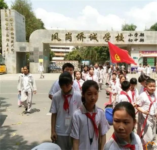 凤岗小产权房《永盛豪庭》30栋超级航母6888/平(图8)