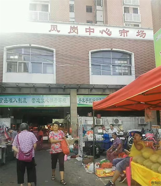 凤岗小产权房《永盛豪庭》30栋超级航母6888/平(图7)