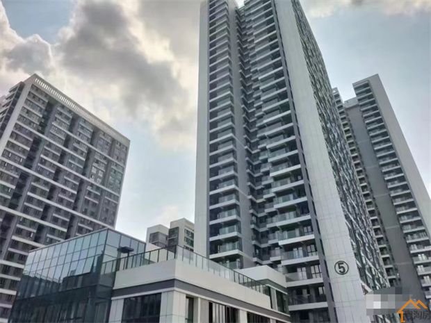 凤岗雁田小产权房《京东慧谷》38栋花园小区,精装修交房(图5)