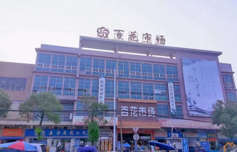 虎门南栅小产权房《怡景雅居》两房全款26.8w/套起(图4)