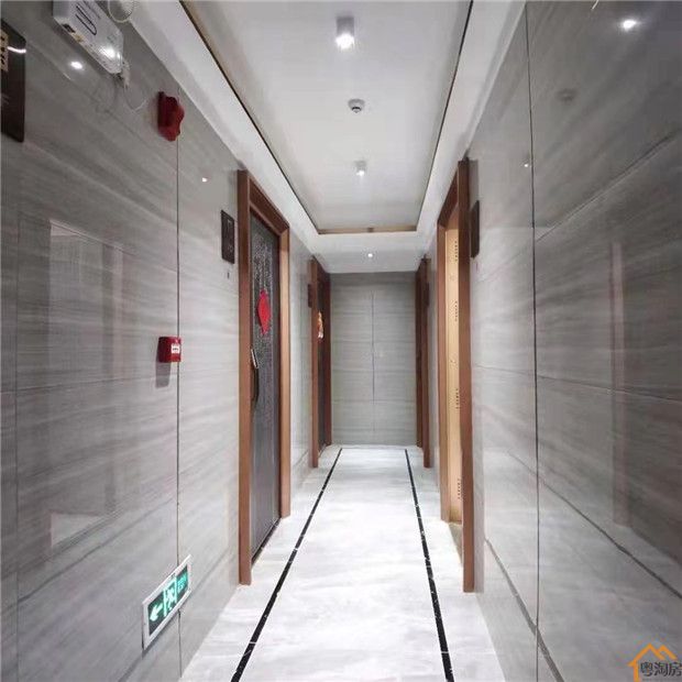 宝安兴东地铁口旁小产权房《豪丽华庭》精装两房首付60万起,精装交房(图3)