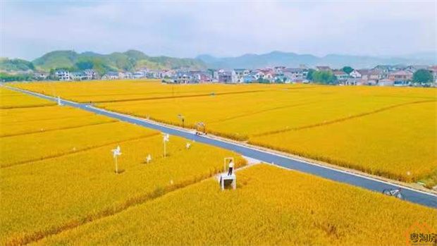 光明迳口小产权房《御湖观邸》三房总价98.3万起,精装交房(图7)