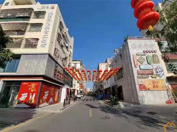 光明迳口小产权房《御湖观邸》三房总价98.3万起,精装交房(图9)