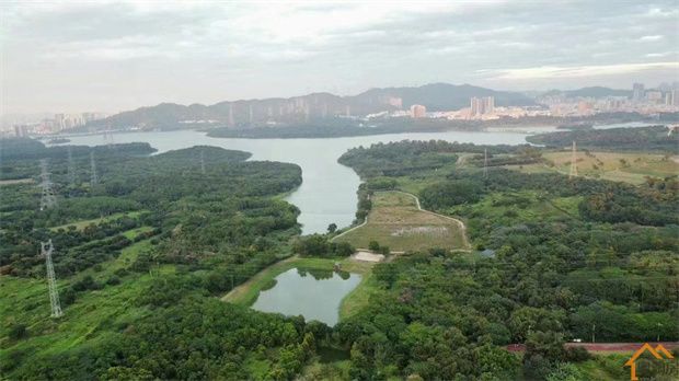 石岩麻布村委统建楼《陌尚花园》精装三房79.8万起,有独立车位(图8)