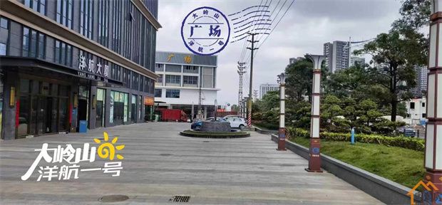 大岭山广场小产权房《洋航一号》3栋花园社区 4980/平(图6)