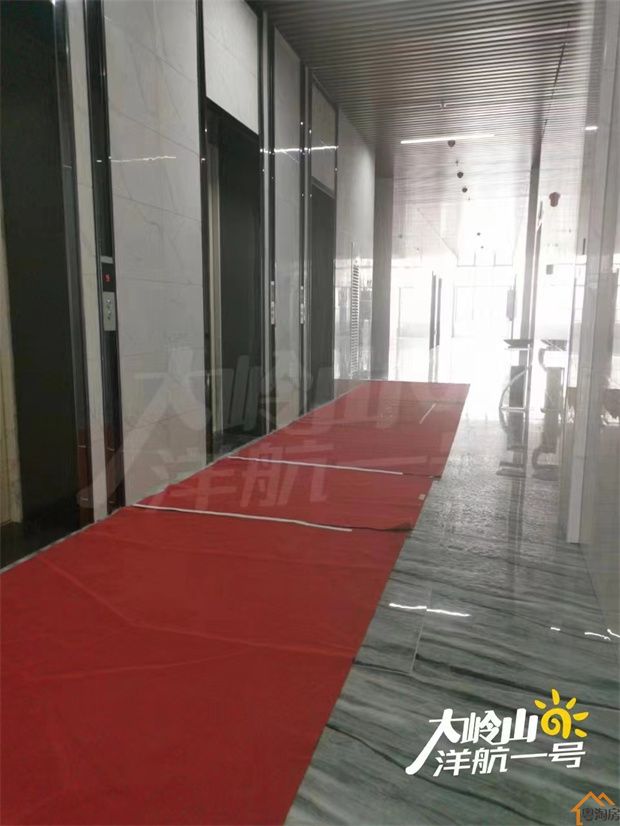 大岭山广场小产权房《洋航一号》3栋花园社区 4980/平(图13)