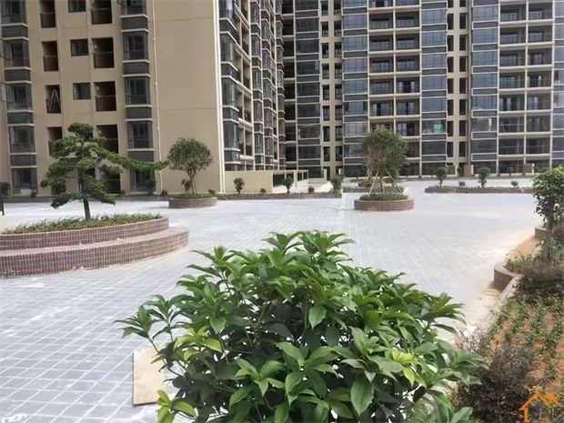 大朗小产权房《高英花园》3栋大型花园社区 带车库 天然气入户(图6)