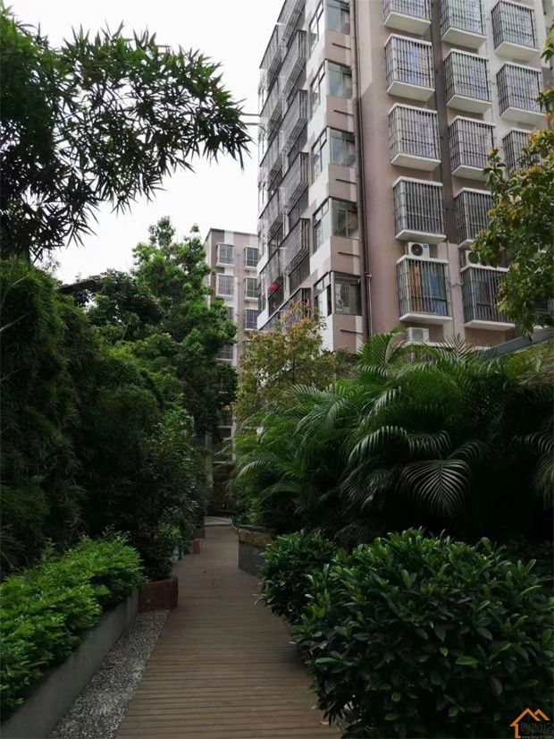 龙华8栋花园村委统建楼《澜兴花园》户户村委颁发绿本，带车库民水电(图2)