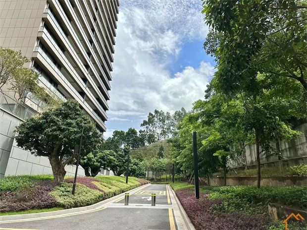 龙华豪宅统建楼《翰林半山》800户花园小区，自带游泳池，健身房(图15)
