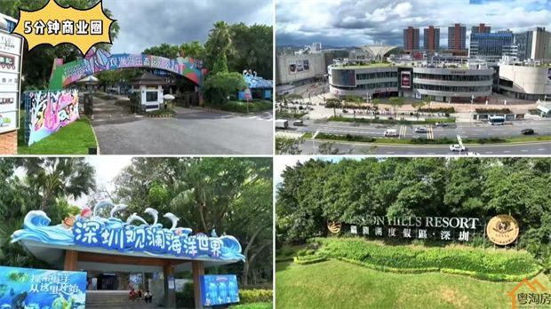 龙华观澜村委统建楼《高尔夫1号》封闭式花园小区，单价19800/㎡起(图20)
